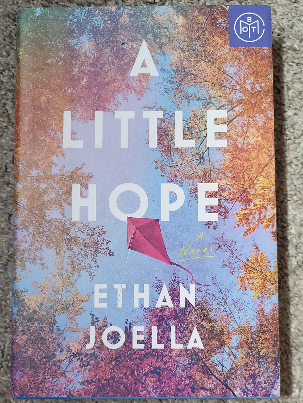 A Little Hope by Ethan Joella — Hardcover BOTM Novel